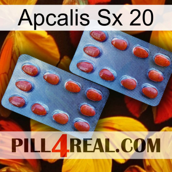 Apcalis Sx 20 05.jpg